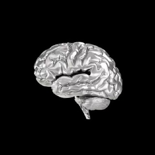 Канал   Дубровская 👊🏿