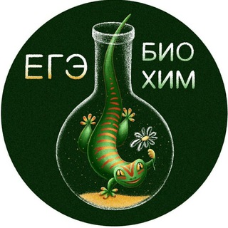 Канал   Мутабор 🦎