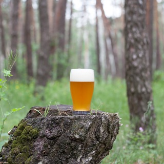 Канал   Пьяный Лесник