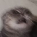 Канал ☕️ Мерлин заваривает чай 