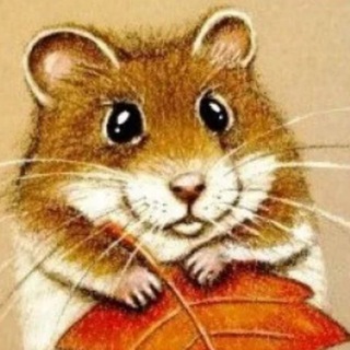 Канал   Тканевой хомяк💐