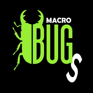 Канал   Макро-Жуки/MacroBugs