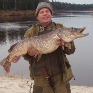 Канал   MURAVEV BLOG