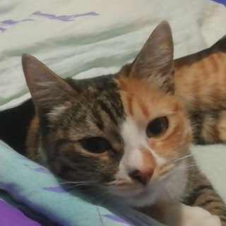 Канал   ЖИЗНЬ АД☠️