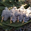 Канал Экспедиционные картинки