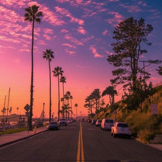 Канал   E V O L U T I O N - Фотографии | Юмор