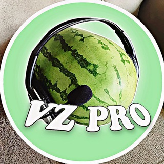 Канал   VZ PRO | ВЗ ПИАР (TG)