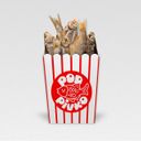 Канал под пивко