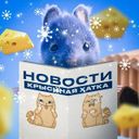 Канал Крысиная хатка | НОВОСТИ
