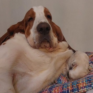 Канал   ФИЛОСОФИЯ ГАМЛЕТА