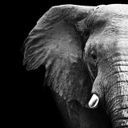 Канал RA-JA | Цитаты