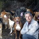 Канал Переводчик с бухгалтерского