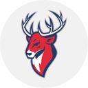 Канал ХК Торпедо