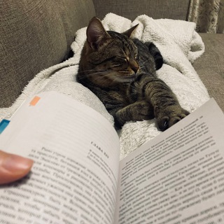 Канал   Кофе. Книги. Два кота.