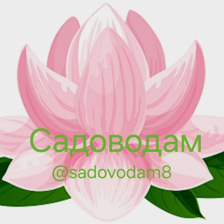 Канал   🪷Садоводам🪷