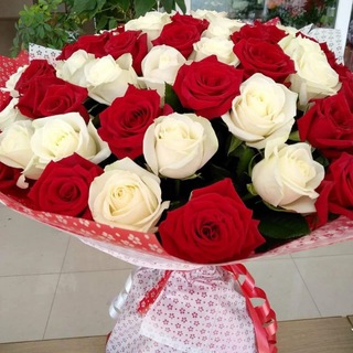 Канал   Красивые открытки