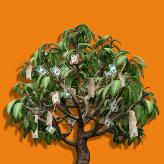 Канал   Акции на Акации