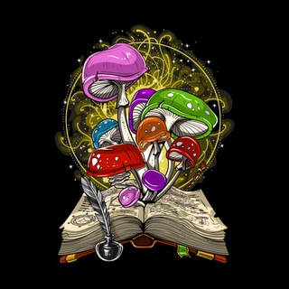 Канал   BOROVIK NEWS | Новости | События