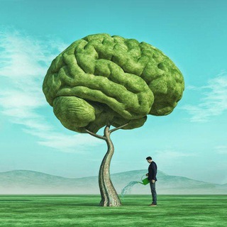 Канал   Виталий Фрейдович 👨🏻‍🎓 Дневник Психолога