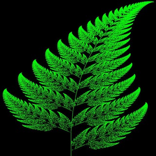 Канал   Нутрициолог. Превентивная медицина