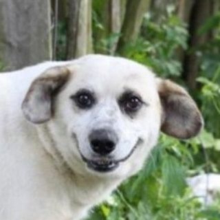 Канал   Отборный юмор