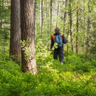 Канал   Поисковая фотография