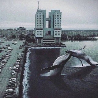 Канал   Письма из одиночества