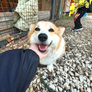 Канал   ❤️‍🔥𝑺𝒖𝒏𝑺𝒉𝒊𝒏𝒆❤️‍🔥