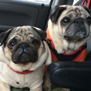 Канал   МОПС ПОИСК ❤