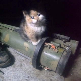 Канал   Фронтовые питомцы СВО