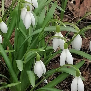 Канал   Флора и фауна🌺