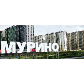 Канал   Мурино City 🏙
