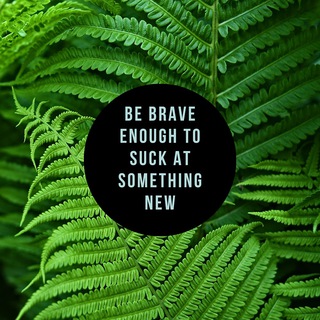 Канал   La vida de Soloria 🍀