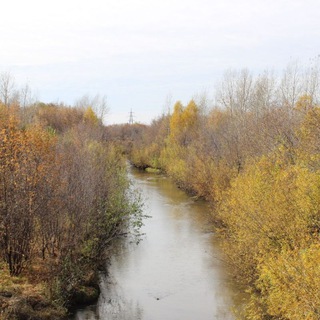 Канал   OwlCondition