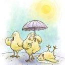 Канал Hot Chicks