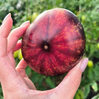 Канал   veepoletaeva_ДачныйДневник🌿