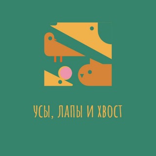 Канал   Усы, лапы и хвост!