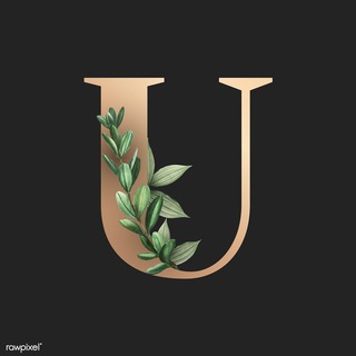 Канал Universitet | Лидерства