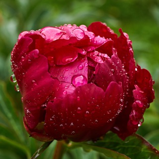 Канал   Взгляд на мир через объектив