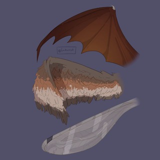 Канал   Записки о крылатых