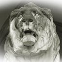 Канал От Альп до Рейна