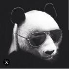 Канал Москва ONLINE