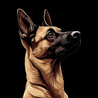 Канал   Собачье дело