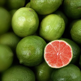 Канал   Смыслы и формы