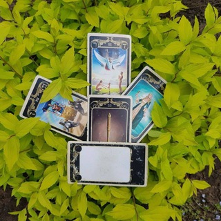 Канал   Расклады Таро