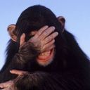 Канал Веселим