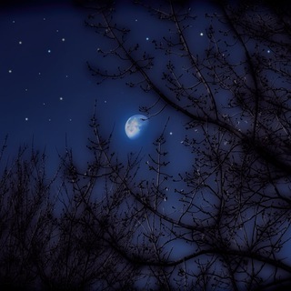 Канал   Любовные привороты от мага Бориса