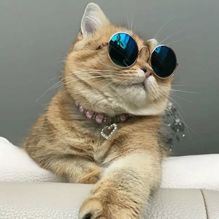 Канал   Ваша Ненашева