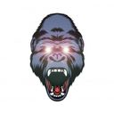 Канал Cripto Gorilla