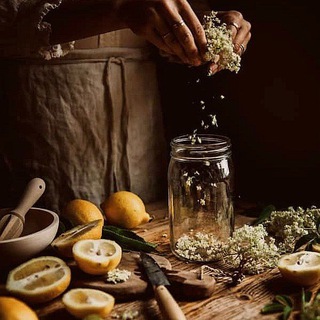 Канал   Магия растений и трав! Энергия и сила 🍀